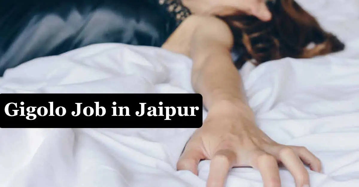 Gigolo Job in Jaipur